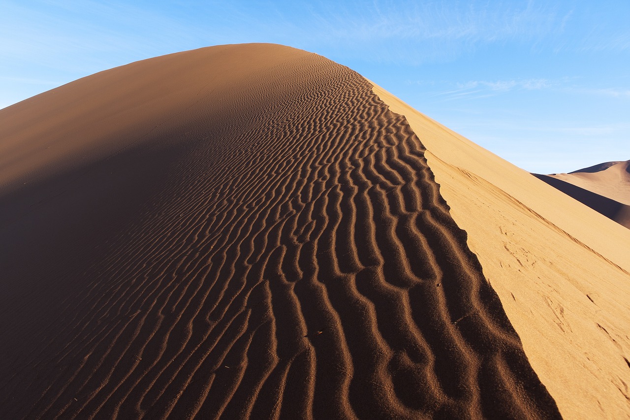 Rommel: The Desert Fox